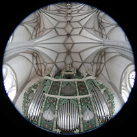 Grlitz, St. Peter und Paul (Sonnenorgel), Orgelprospekt und Gewlbe