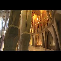 Barcelona, La Sagrada Familia, Blick vom Triforium auf die sich baumkronenförmig aufspaltenden Säulen