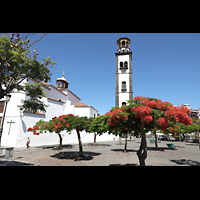 Santa Cruz de Tenerife (Teneriffa), Nuestra Señora de la Concepción, Ansicht vom Osten vom Plaza de La Iglesia