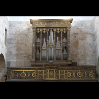 Lucca, Basilica di San Frediano, Orgel