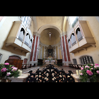 Modena, Chiesa di San Domenico, Orgeln