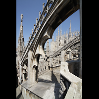 Milano (Mailand), Duomo di Santa Maria Nascente, Strebewerk und Dach (Terrazza)