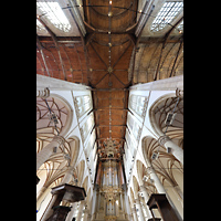 Blick ins Holzgewölbe der Vierung und zur großen Orgel Alkmaar, Sint Laurenskerk, Blick ins Holzgewölbe der Vierung und zur großen Orgel